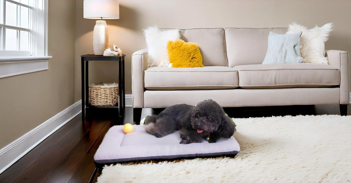 Dog Bed Mat 24x18, Washable Flat Pet Bed - 24x18" / Silver - image 2
