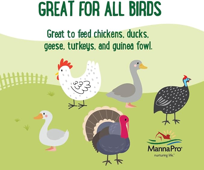 Manna Pro Mealworms Poultry Treat - High Protein, 100% Natural, 10oz
