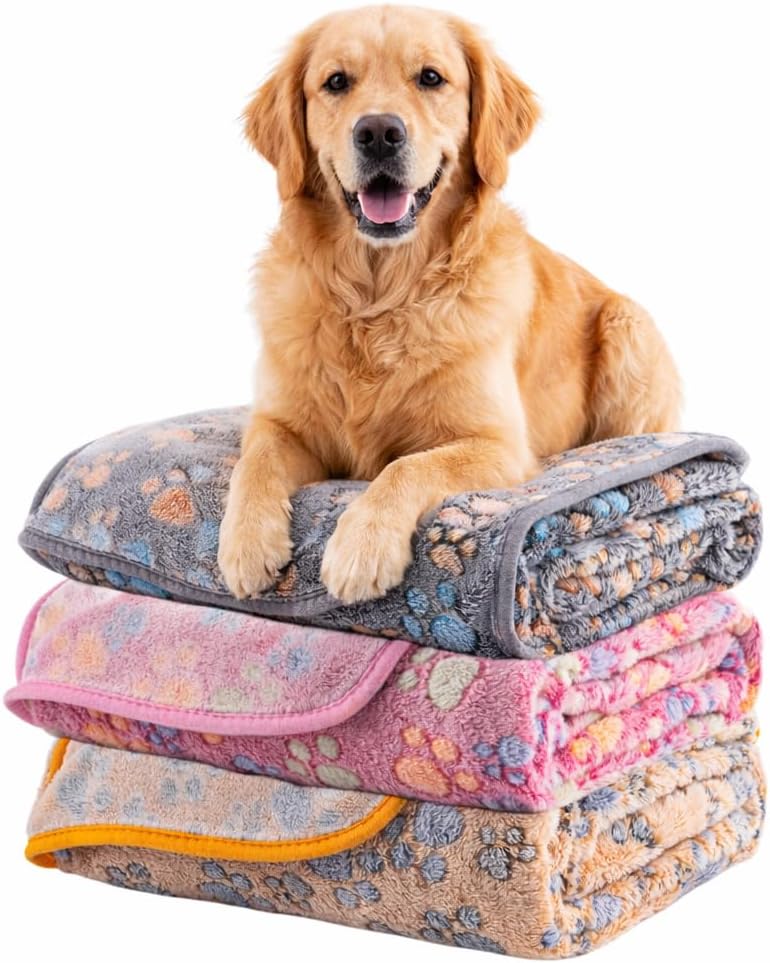 Dog Blanket Paw Bone Pattern 1 Pack 2 Super Soft Warm Flannel Sofa - 40*30 inch (Pack of 3) / Grey&red&brown-paw