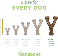 Benebone Wishbone Durable Dog Chew Toy for Aggressive Chewers, Real Peanut, Made in USA, Giant