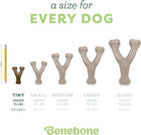 Benebone Wishbone Durable Dog Chew Toy for Aggressive Chewers, Real Bacon, Made in USA, Tiny