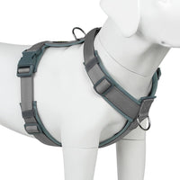 Plutus Pet No Pull Dog Harness - S / Gray