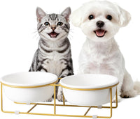 Small Glass Tilted Elevated Cat Dog Bowl Raised Cat Food Water Bowl - Small / White×2-Flat