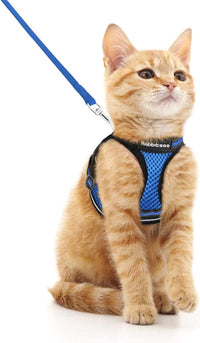 rabbitgoo Cat Harness and Leash Set, Step-in Soft Vest - M / Blue