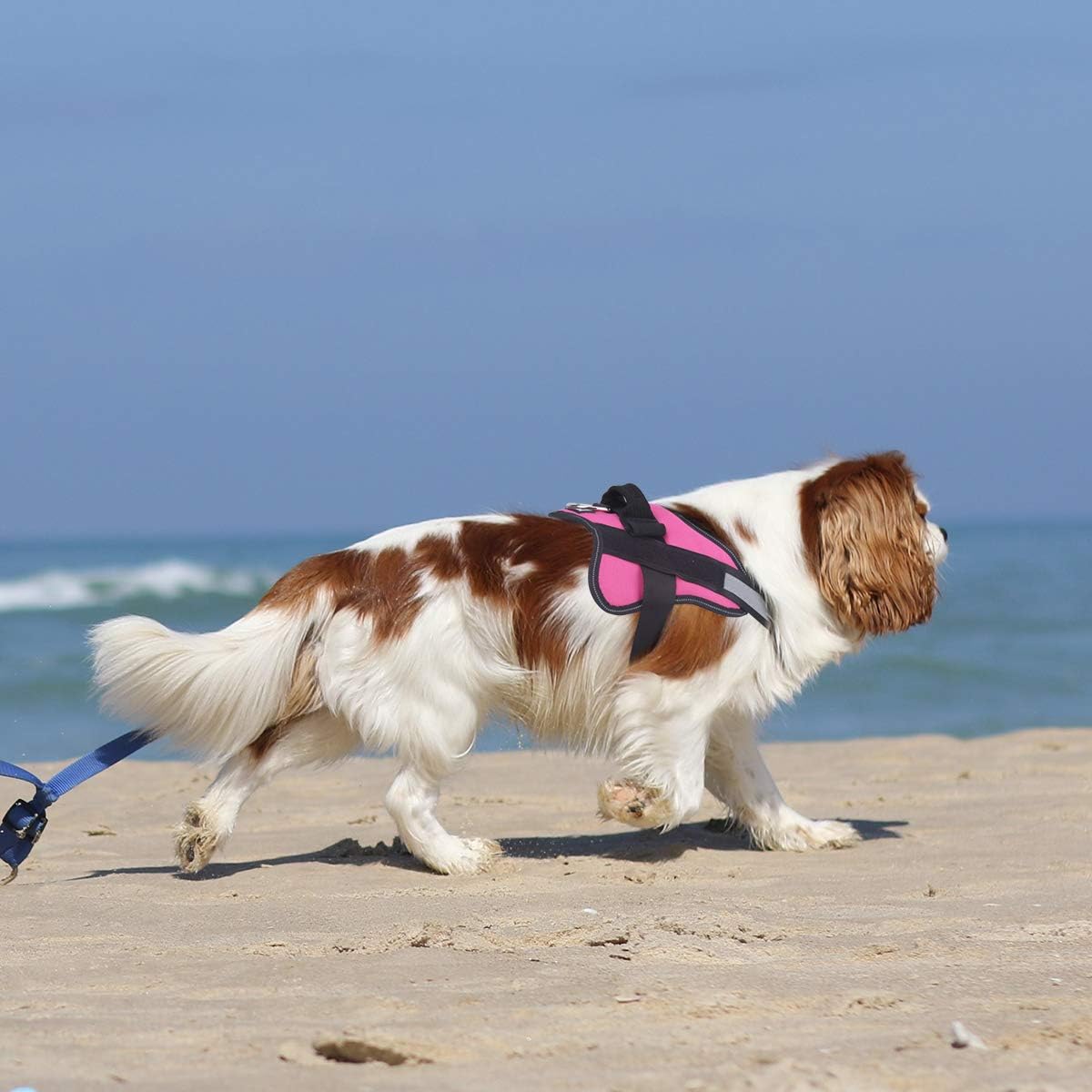 Bolux Dog Harness, No-Pull Reflective Dog Vest - Small (Pack of 1) / Rose red - image 4