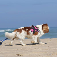 Bolux Dog Harness, No-Pull Reflective Dog Vest, Breathable Adjustable Pet Harness with Handle for Outdoor Walking - No More Pulling, Tugging or Choking (Rose red, L)