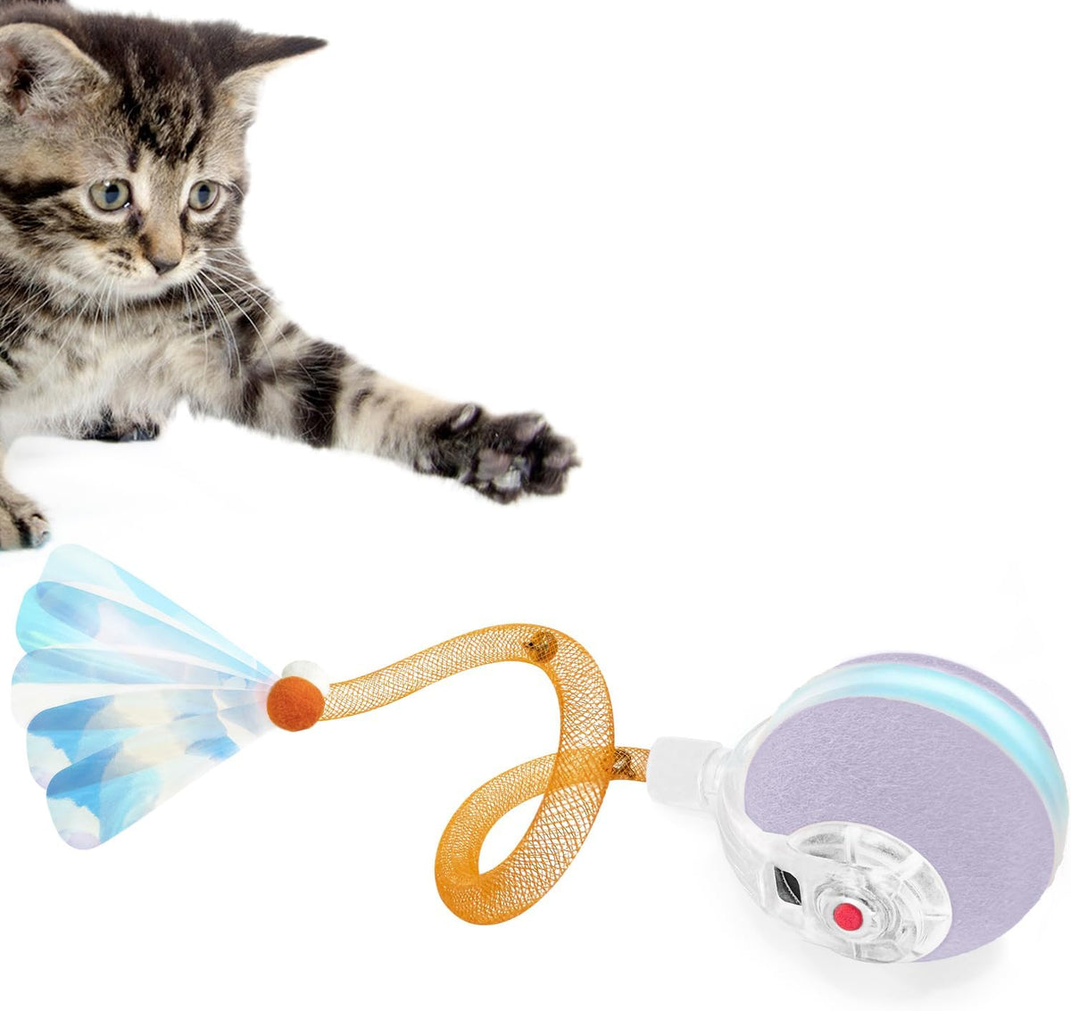 YVE LIFE Interactive Cat Toys Ball for Indoor Cats - Purple