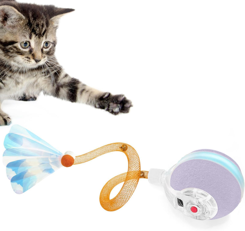 YVE LIFE Interactive Cat Toys Ball for Indoor Cats - Purple