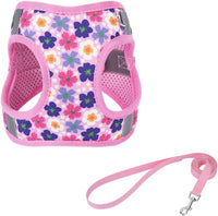Step in Dog Harness and Leash Set, Pet Vest Harness - Flower-Pink / XS