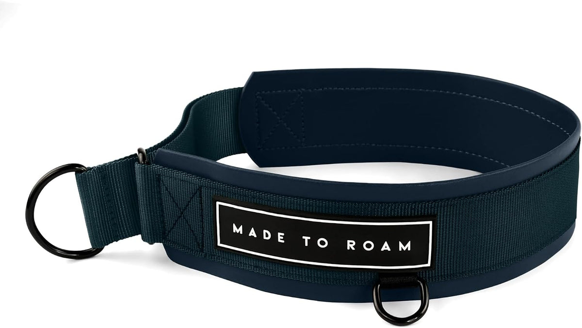 MADE TO ROAM Premium Everyday Dog Collar - Colorado Nightsky / Size 10