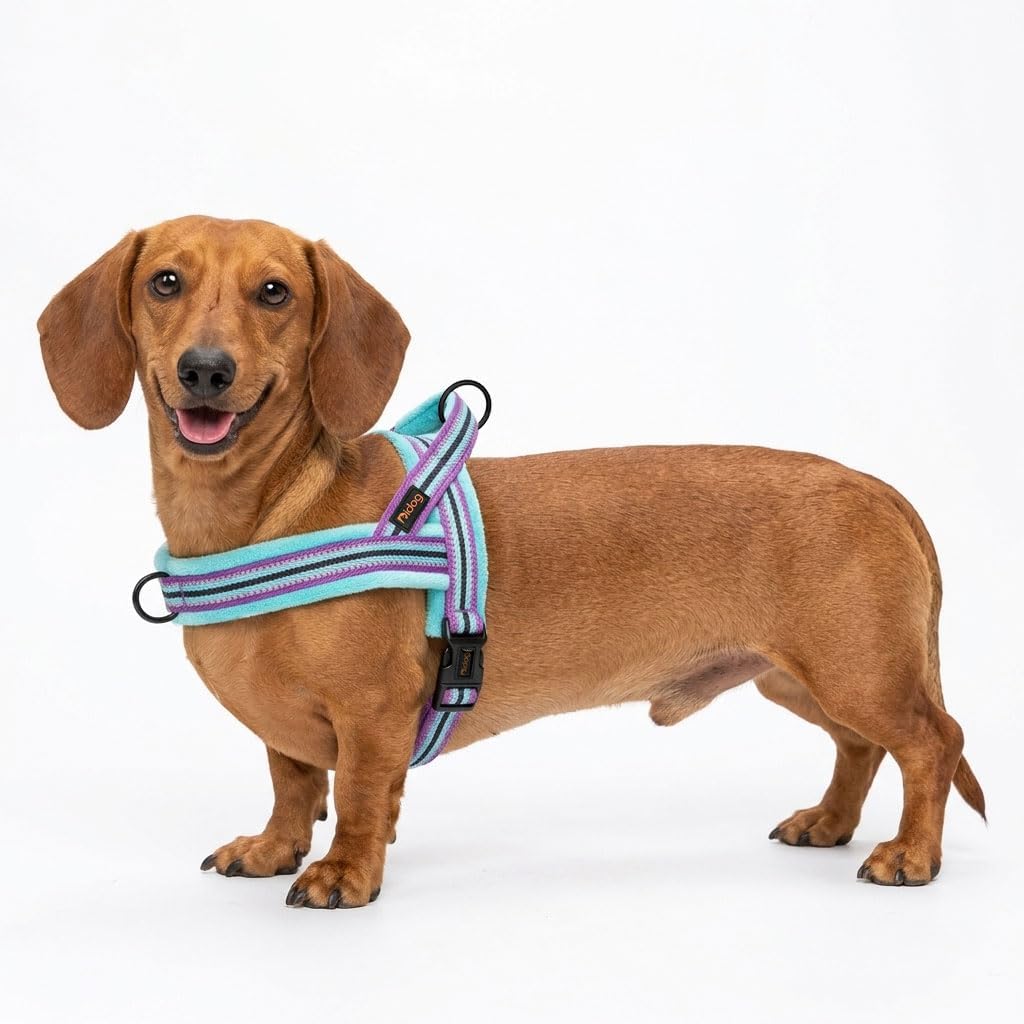 No Pull Dog Harness for Small Dogs, Soft Flannel Padded, XS - XS:chest 15-19" / Mixed-Blue - image 4