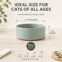 Cat Bowls Set of Two, 5.1” Ceramic Cat Food Bowls - Light Green / 2 Bowls - 5.1" - image 2