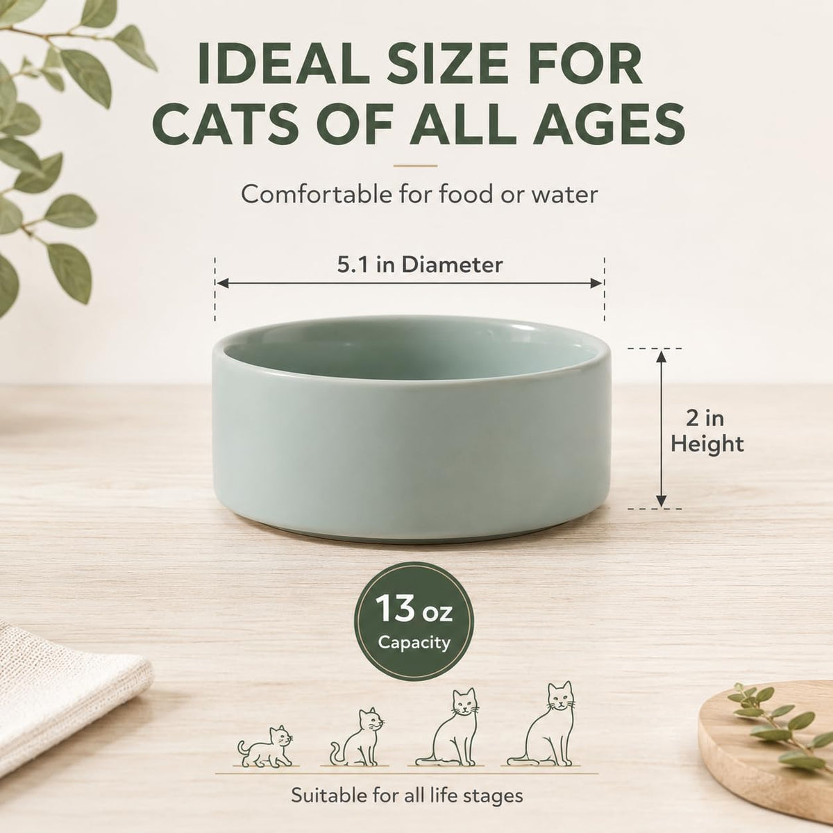 Cat Bowls Set of Two, 5.1” Ceramic Cat Food Bowls - Light Green / 2 Bowls - 5.1" - image 2