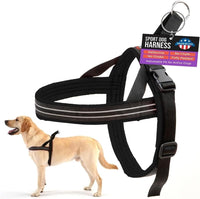 ComfortFlex No-Choke Non-Chafe Sport Dog Harness - Medium/Large / Raven Black
