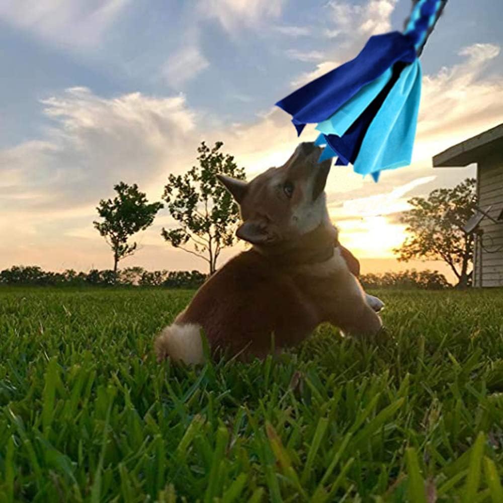 Interactive Dog Toys - Extendable Flirt Pole with 2pcs Squeaky Plush Toy Tugs Red Green for Dog - new blue - image 4
