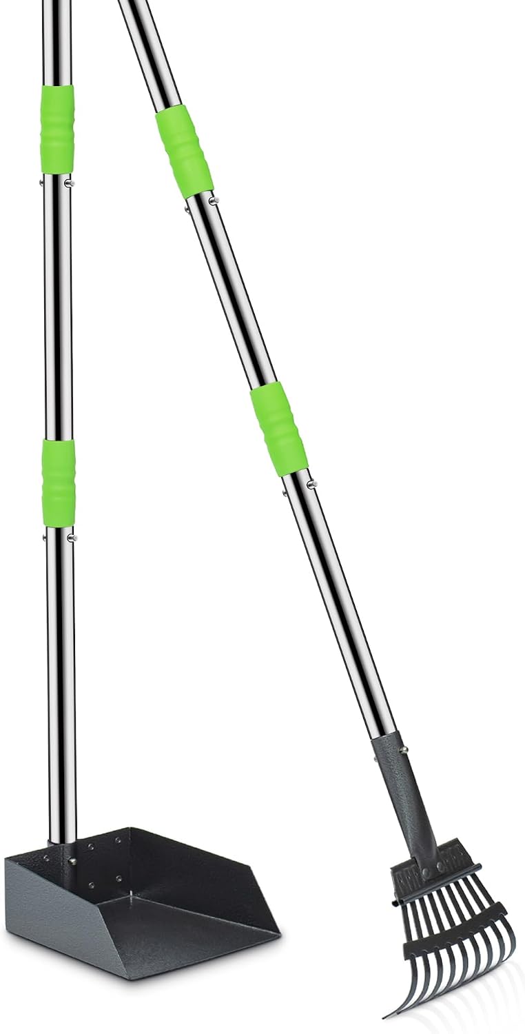 Pooper Scooper for Dogs, Metal Poop Scooper Tray and Rake Set with Adjustable Long Handle, Dog - Silver & Green