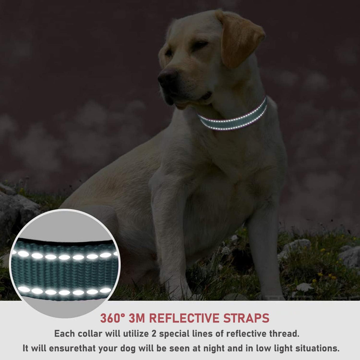 Reflective Dog Collar, Puppy Collar with Buckle Adjustable - Grey / Large :Width 1",Neck 14-22" - image 4