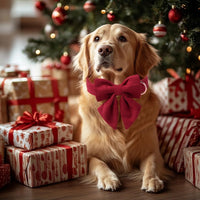 Green Dog Collar with Bow Tie, Christmas Bowtie Dog Collar M – Essentials for Dogs - L / T-Wine Red - image 2