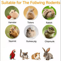 Chinchilla Food, Papaya Grains Small Animal Treats - 10 oz, Suitable for Rabbit Treats, Sugar Glider Food, Herbivores