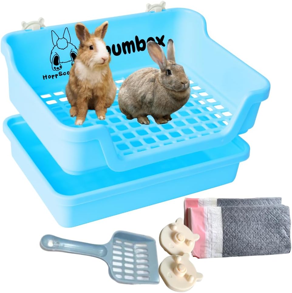 HoppScotch.bun Bumbox Large Rabbit Litter Box - Blue / Large