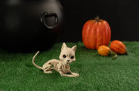 Crazy Bonez Cute Skeleton Cat – Essentials for Cats - image 3