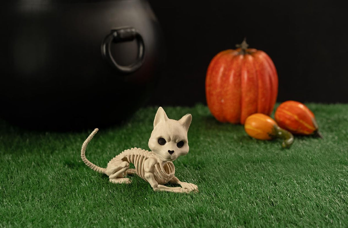 Crazy Bonez Cute Skeleton Cat – Essentials for Cats - image 3