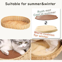 48'' Cat Tree for Large Cats, Modern Cat Tree Multi-Level Condo with Natural Wood, Cat Activity Centre for Medium and Big Pets (White LS02)