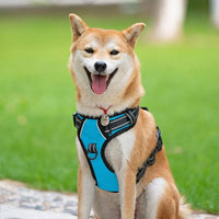 PoyPet No Pull Dog Harness, Reflective Comfortable Vest Harness with Front & Back 2 Leash Attachments and Easy Control Handle Adjustable Soft Padded Pet Vest for Small to Large Dogs (Blue,L)