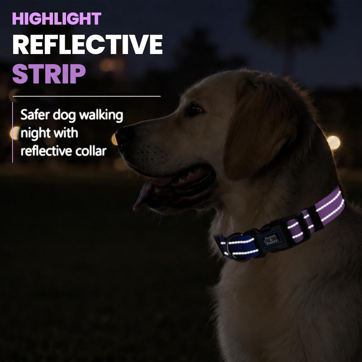 Roses&Poetry Reflective Dog Collar with Gradient Mistyrose - Medium / BluePurple - image 4