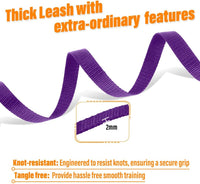 Long Line Dog Training Leash with Padded Handle - 20ft / Purple - image 2