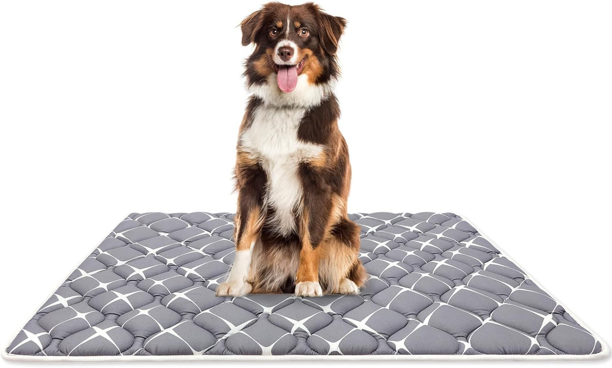 Bubble bear Dog Crate Mat, Ultra Soft - Gray / 59.0"L x 35.0"W