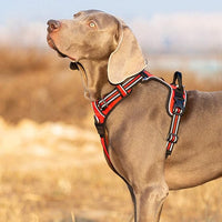TRUE LOVE Dog Harness No Pull Nylon Reflective Pet Harness Adjustable Comfortable Control Step-in Brilliant Colors Truelove TLH56512 XL Red