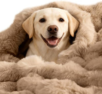 SOMAHE Soft Faux Fur Cat Blanket, Washable - 39"L x 31"W Inches / Latte Coffee
