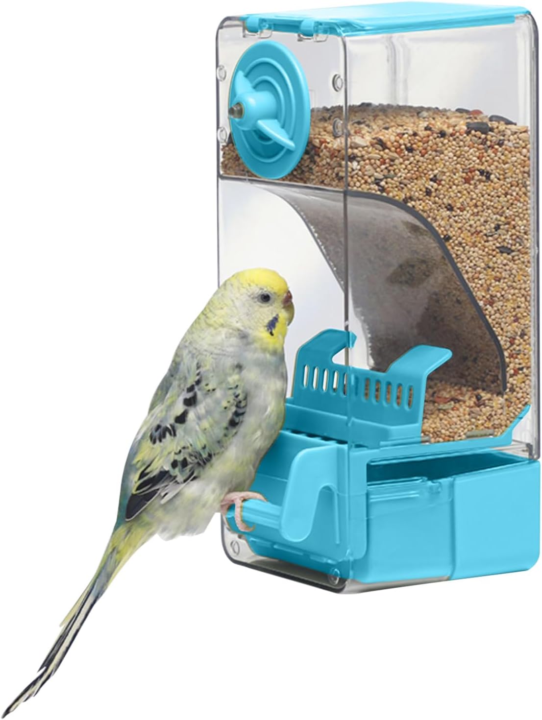 Automatic Bird Feeder, Bird Cage Feeder with Perch for Parakeet Canary Cockatiel Finch – Essentials for Birds - Blue