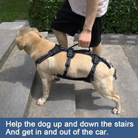 Coodeo Dog Lift Harness, Support & Recovery Sling, Pet Rehabilitation Lifts Vest Adjustable Breathable Straps for Old, Disabled, Joint Injuries, Arthritis, Paralysis Dogs Walk (Black,L)
