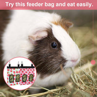 DZWLKJ 2 Pack Hay Feeders, Guinea Pig Rabbit Hay Feeder - (Watermelon+Strawberry) 2pack / S -10"x 8"x 0.4" - image 2