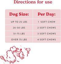 Bocce's Bakery Skin & Coat Supplement for Dogs, Daily Chews Made in The USA with Vitamin E & Essential Fatty Acids, Supports Healthy Skin & Coat, Salmon, 60 ct, Red (DG-SP-SKIN60)