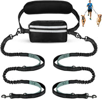 Hands Free Dog Leash for Two Dogs Walking, Running – Essentials for Dogs - Grey-Green / Large