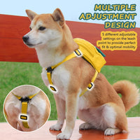 Dog Backpack Harness with Leash - Medium / Yellow - image 3