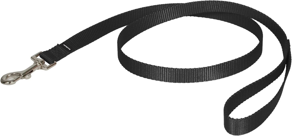 PetSafe Nylon Dog Leash, Strong, Durable - 3/4 in. x 4 ft. / Black
