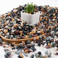 AVALUTION Aquarium Gravel for Plants -7lb Fish Tank Gravel for Succulent Cactus & Bonsai, 1/4Inch Decorative River Rocks Pebbles for Gardening, Flower Pots, Landscaping, Terrarium