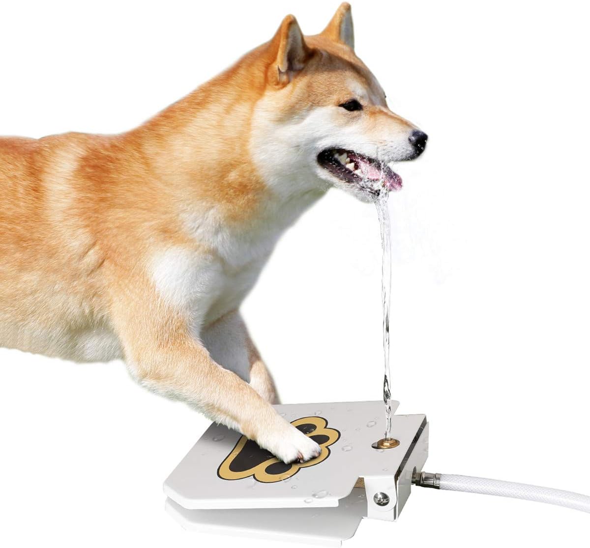 Outdoor Dog Water Fountain, Paw Activated Pet Drinking Fountain - image 2