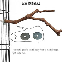 PINVNBY 2Pcs Wood Perches for Bird Cage,Natural Parrot Stand Branch Parakeet Paw Grinding Sticks Standing Grape Pole for Lovebirds Budgies Cockatiels Finches
