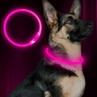 Led Dog Collar, BSEEN USB Rechargeable Flash Light up Dog Collar – Essentials for Dogs - Pink