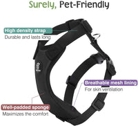 Dog Seat Belt Vest Harness for Car - Black / L (Chest: 22-32.3", Neck: 16.9-26") - image 3