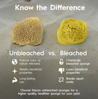 Naroa pack of 5 natural unbleached hermit crab sea sponges - view 4