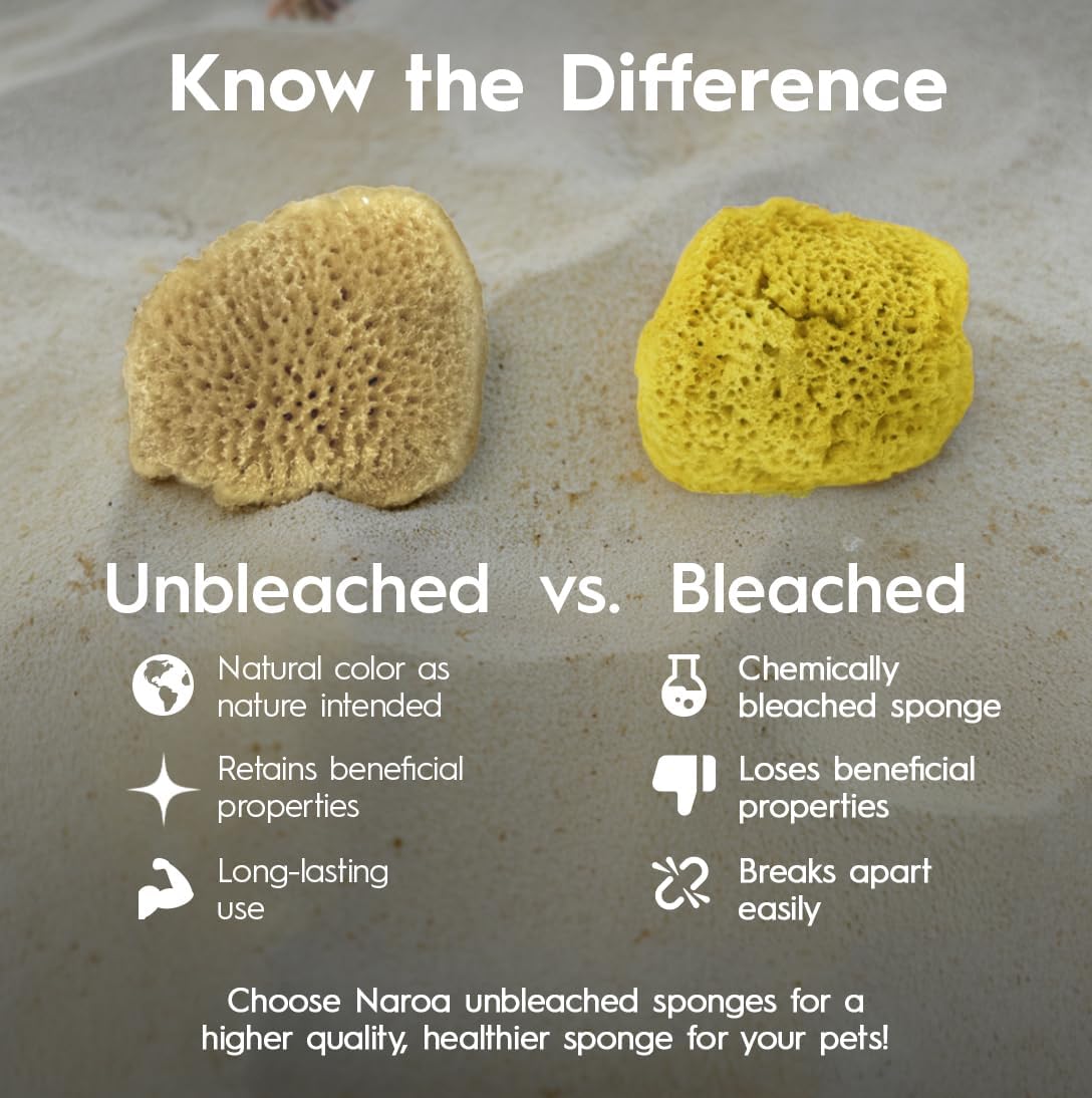 Naroa pack of 5 natural unbleached hermit crab sea sponges - view 4