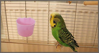 Cage Cups Birds Feeders Seed Bowl Chicken Feeding Watering Dish - 10PCS Pink - image 4