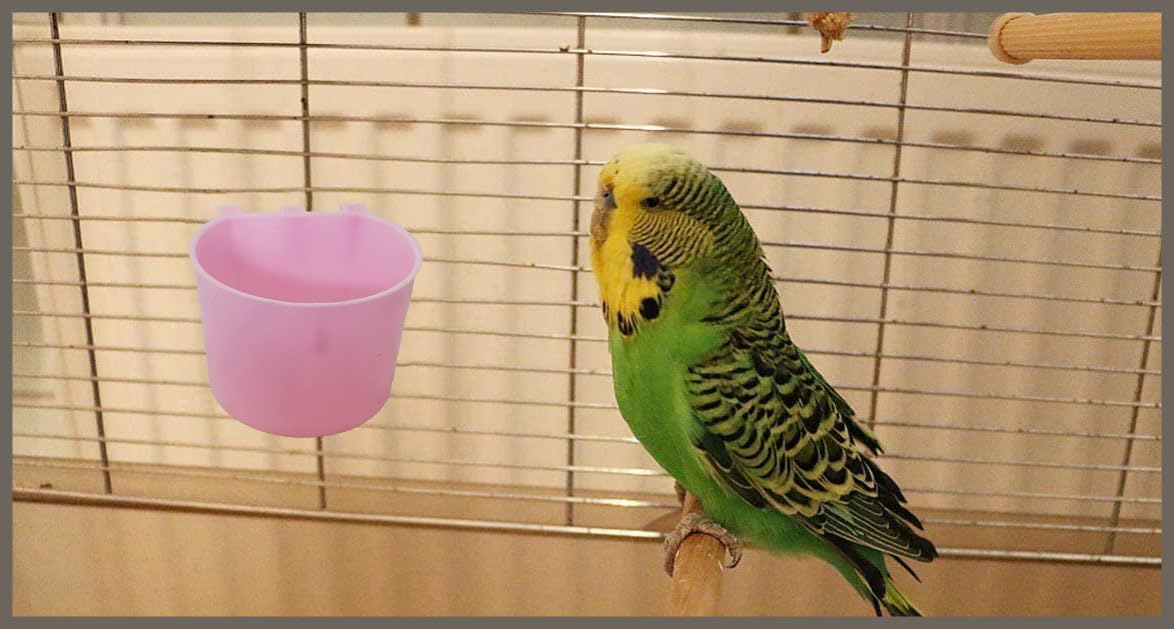 Cage Cups Birds Feeders Seed Bowl Chicken Feeding Watering Dish - 10PCS Pink - image 4
