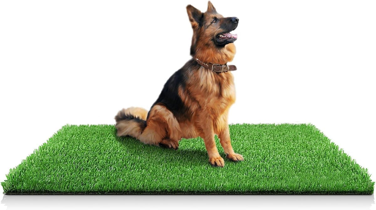 30 x 20 inches 2 Pack Fake Grass Pee for Dogs Artificial Grass Rug - 59.1 x 39.3 Inch (Pack of 1)